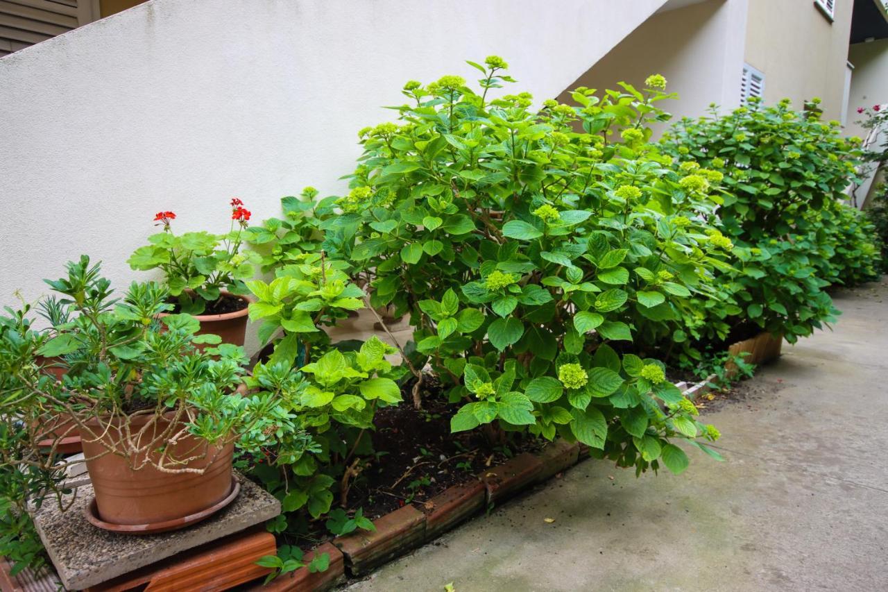 Apartment Passage Dubrovnik Ngoại thất bức ảnh
